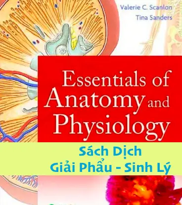 [Bản Dịch] Essentials of Anatomy and Physiology: Giải Phẩu - Sinh Lý PDF – YHocData