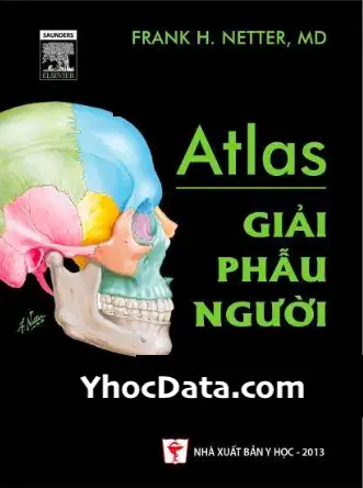 Atlas YhocData
