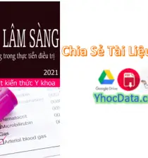 Khí Máu Dộng Mạch 2021 BS Phạm Ngọc Minh PDF – YHocData
