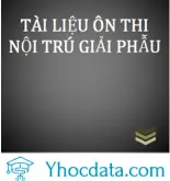 Ôn Thi Nội Trú Giải Phẫu Yhocdata.com