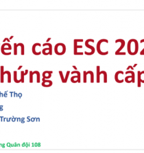 yhocdata.com ACS 750x350 1